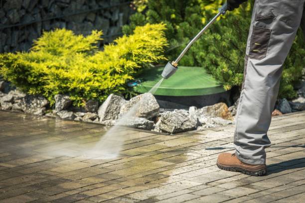 Best Oil Spill Cleanup  in Landing, NJ